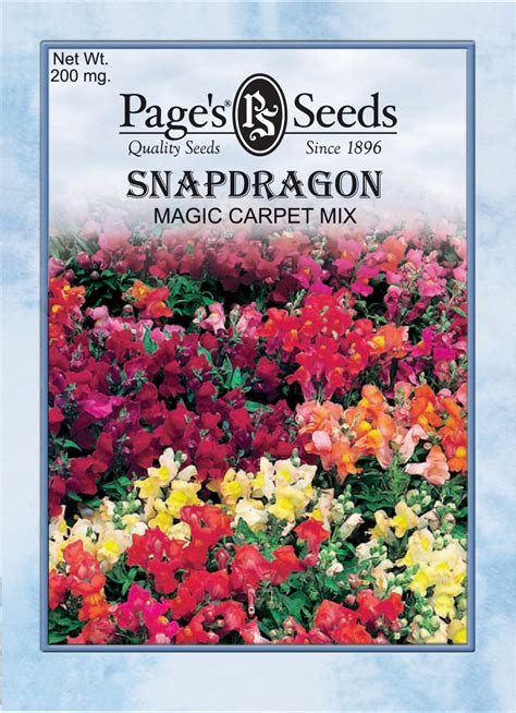 From Ordinary to Extraordinary: The Snapdragon Carpet Revolution